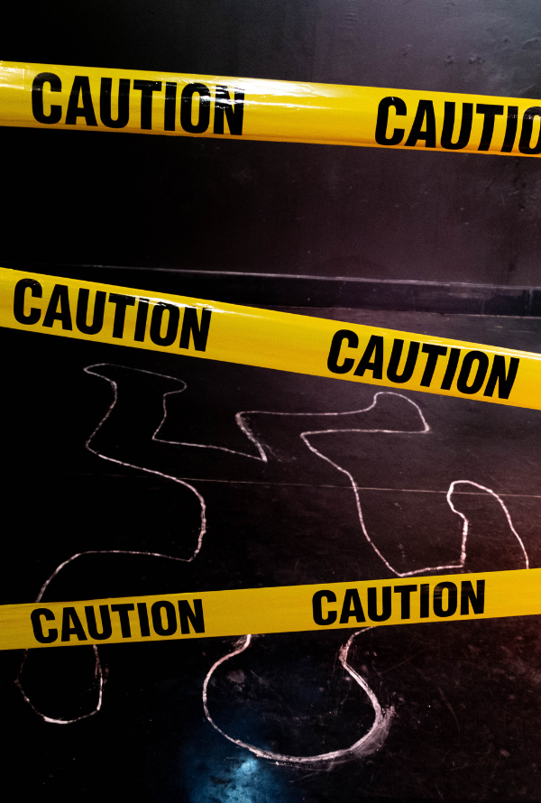 Teatro familiar de misterio en plot point